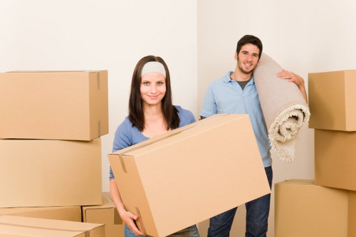 Professional West Brompton man and van handling boxes and furniture carefully